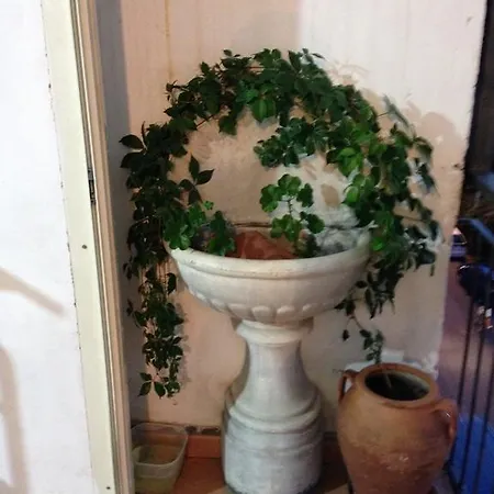 白花公寓 * 特罗佩阿